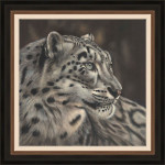 WINTERS EYE - SNOW LEOPARD