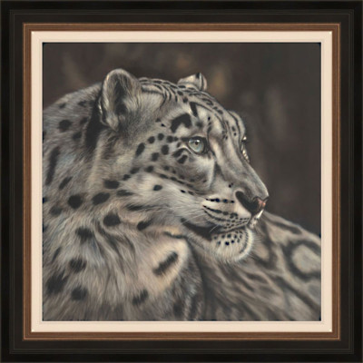 WINTERS EYE - SNOW LEOPARD