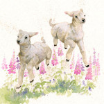WOOLY JUMPERS (LAMBS)