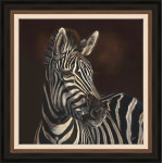 ZURI - ZEBRA