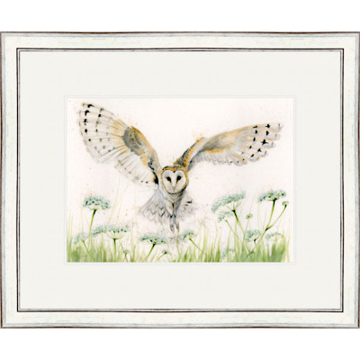 A Wing And A Prayer (Barn Owl) - SML