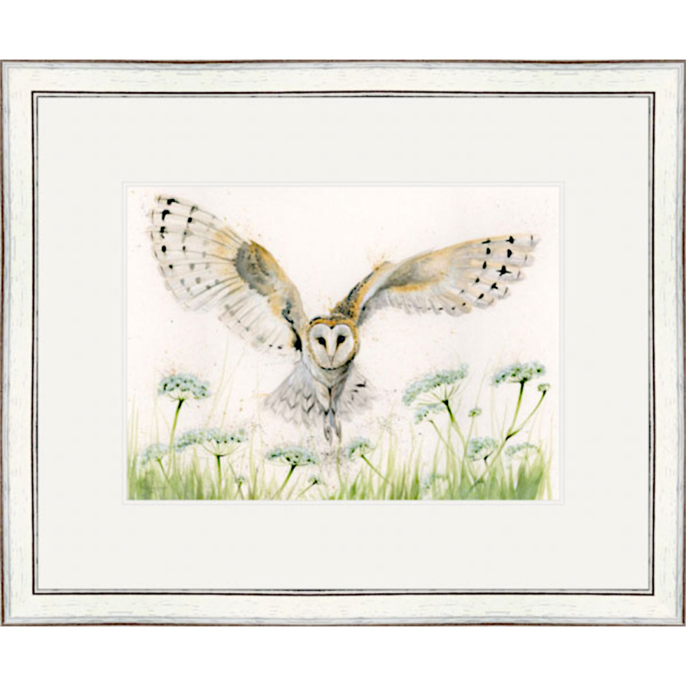 A Wing And A Prayer (Barn Owl) - SML