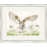A Wing And A Prayer (Barn Owl) - LGE