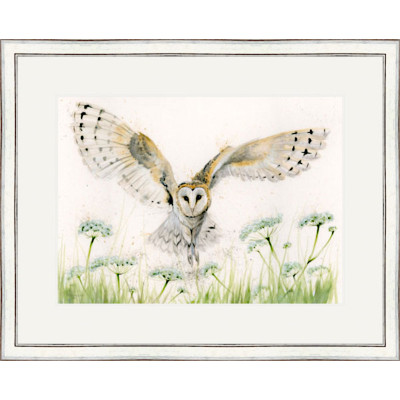 A Wing And A Prayer (Barn Owl) - LGE