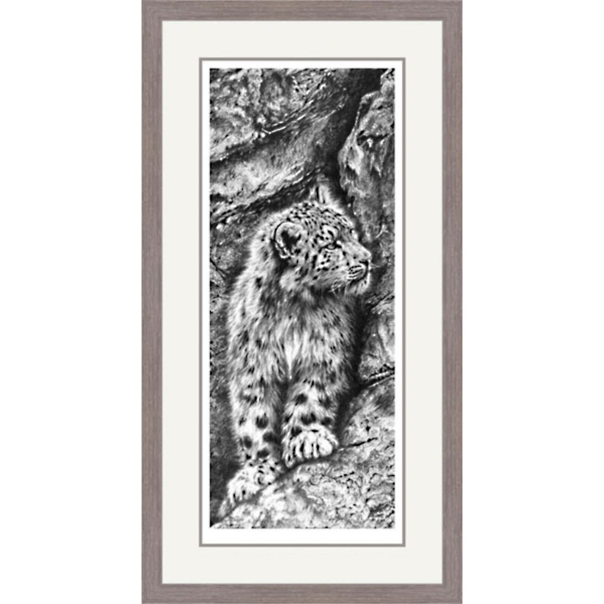Above The Clouds (Snow Leopard)