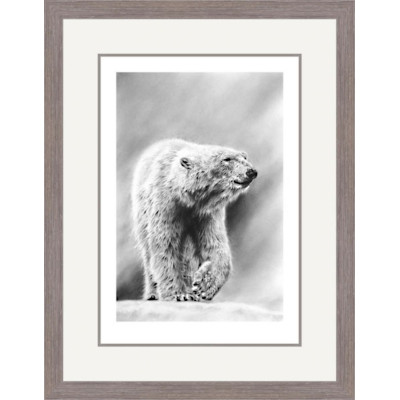 Artic Wanderer (Polar Bear)