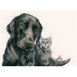 Baby Sitter (Labrador & Cat)
