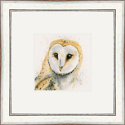 Barney (Barn Owl)
