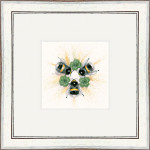 Bee Lucky