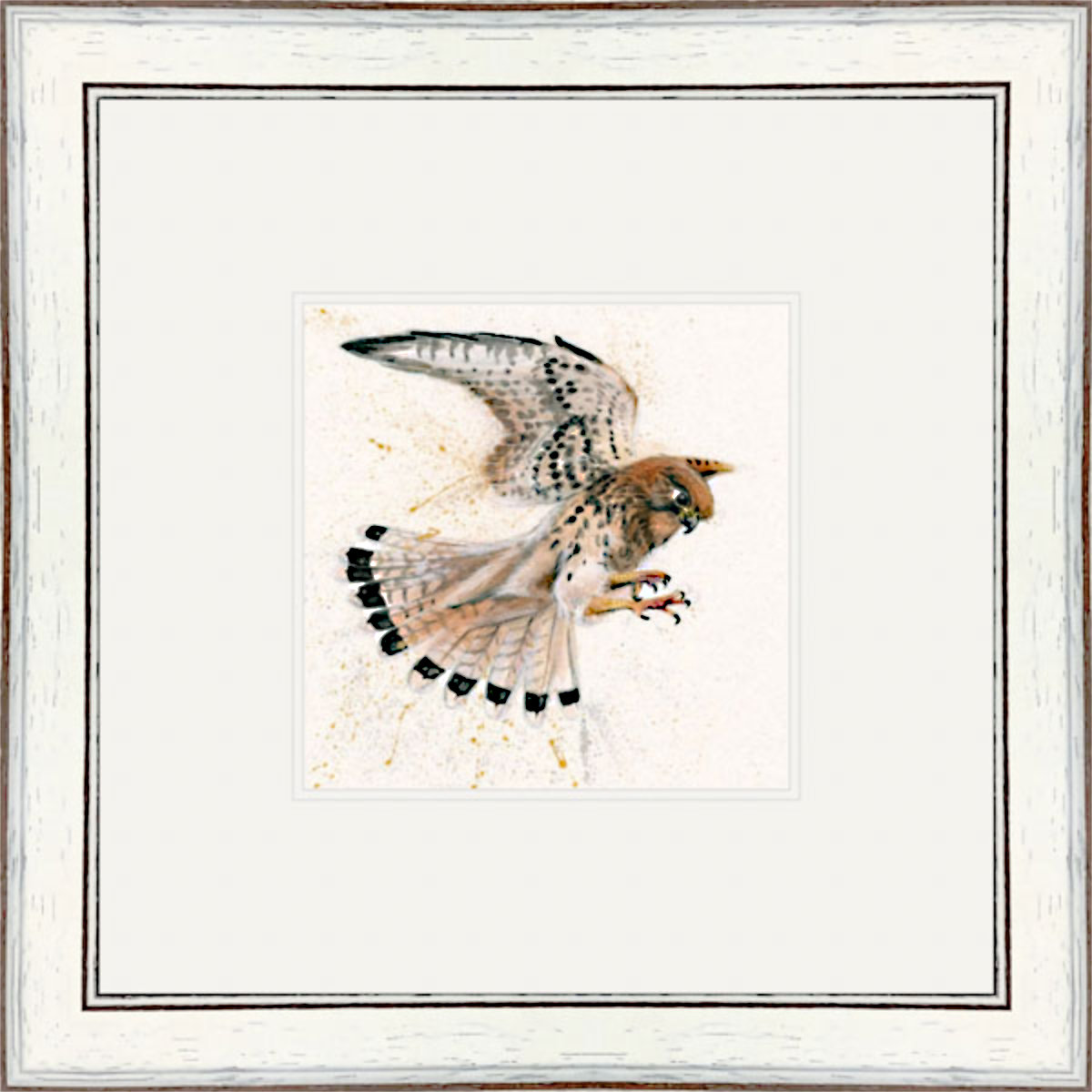 Birds Eye View (Kestrel)