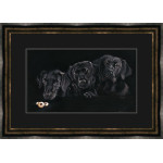 Jammie Dodgers (Black Labradors) (Lge)