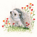 Blooming Love (Hedgehog)