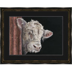 Allo, Allo - Charolais Bull