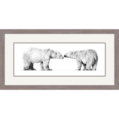 Cold Comfort (Polar Bear)
