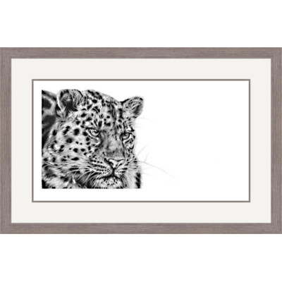 Cold Stealth (Amur Leopard)