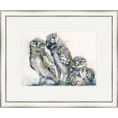 A Family Portrait (Owls)