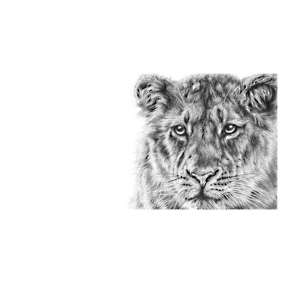 Forest Light (Asiatic Lion)