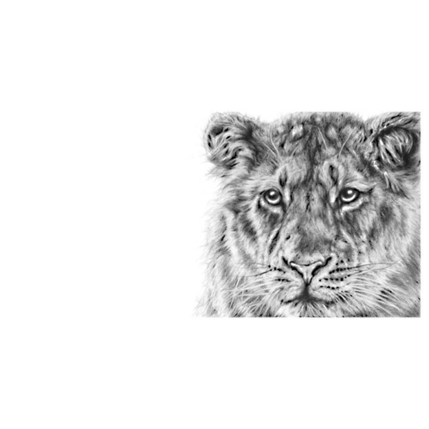 Forest Light (Asiatic Lion)
