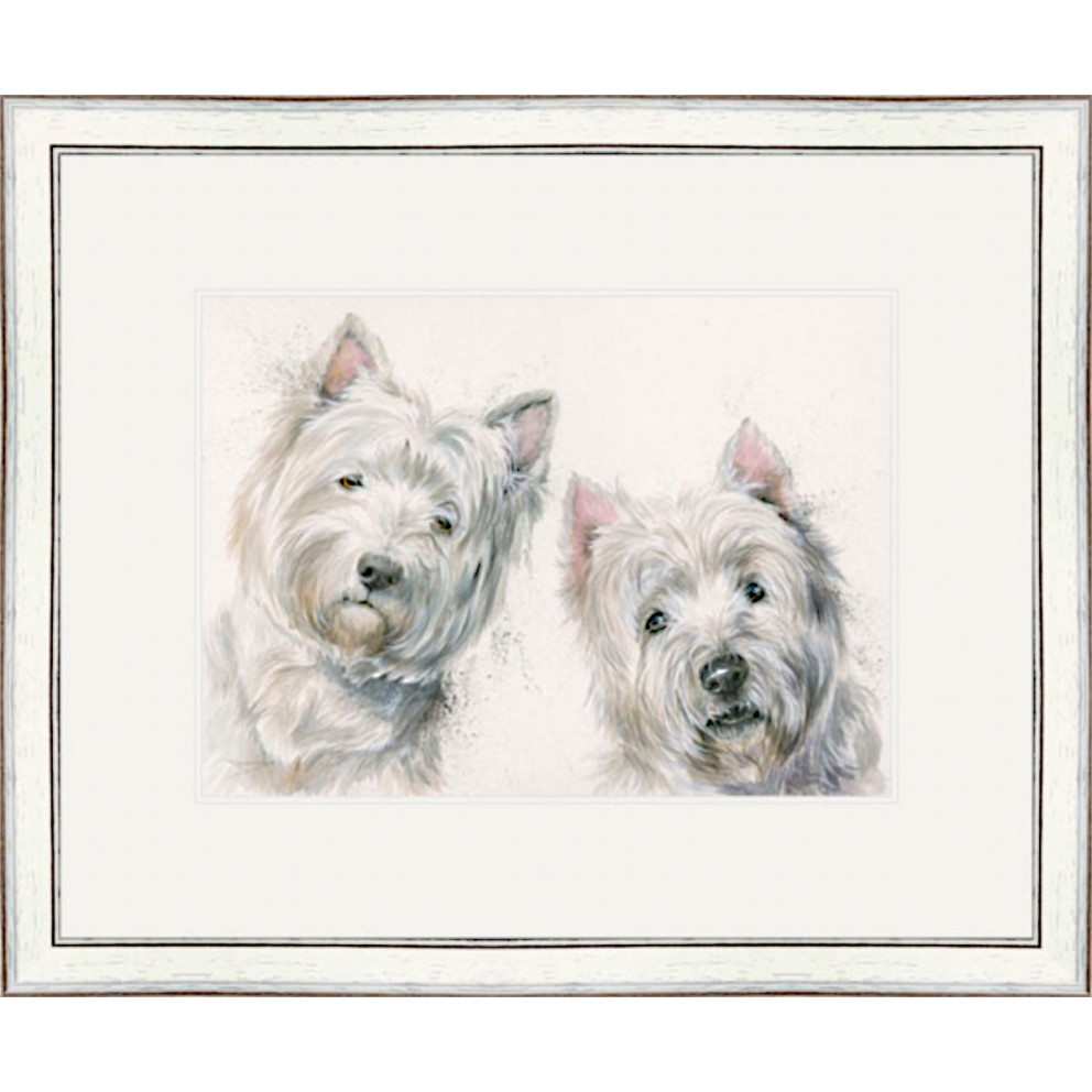 Go West (Westie)