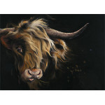 Lady McCoo (Lge)