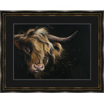 Lady McCoo (Lge)