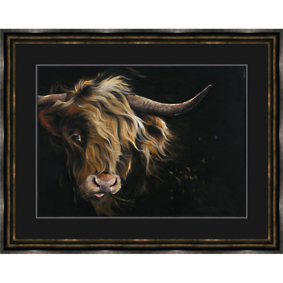 Lady McCoo (Lge)