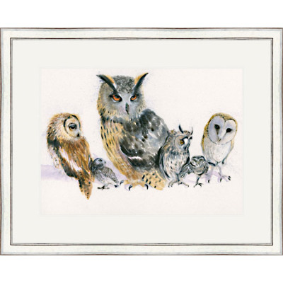 Holding Parliament (Owls) - LGE