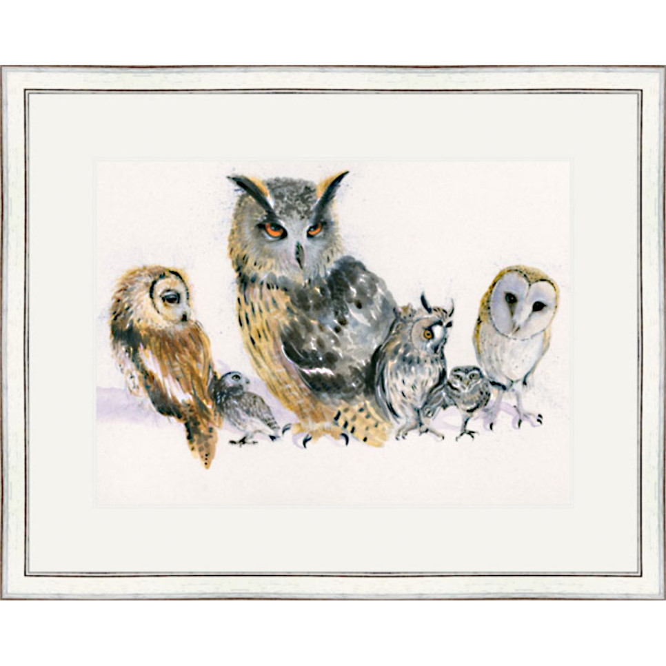 Holding Parliament (Owls) - SML
