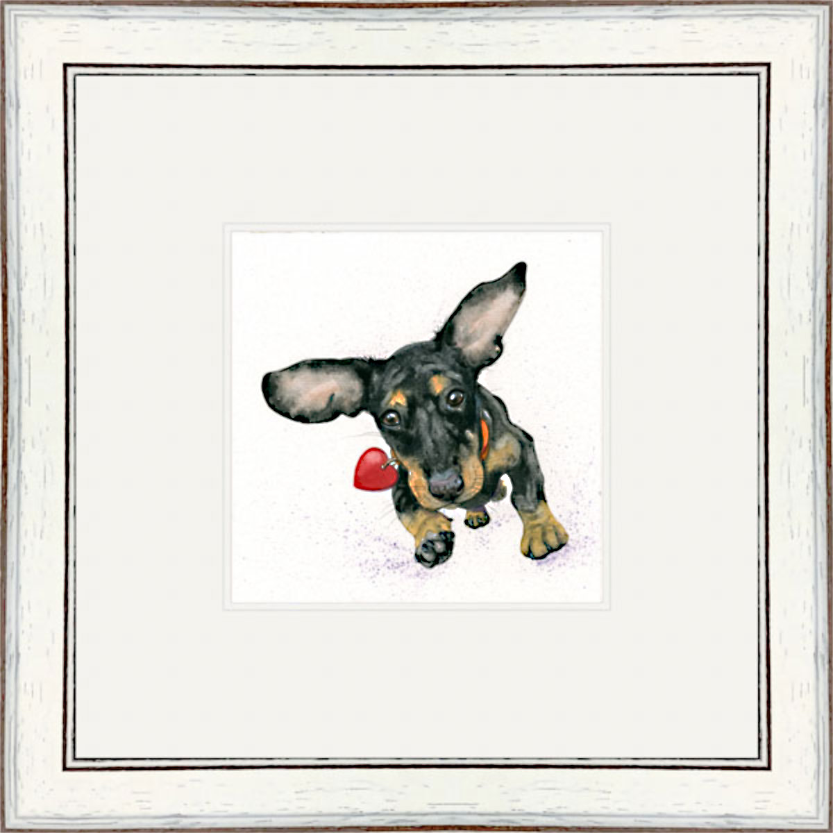 Incoming Kisses (Dachshund)