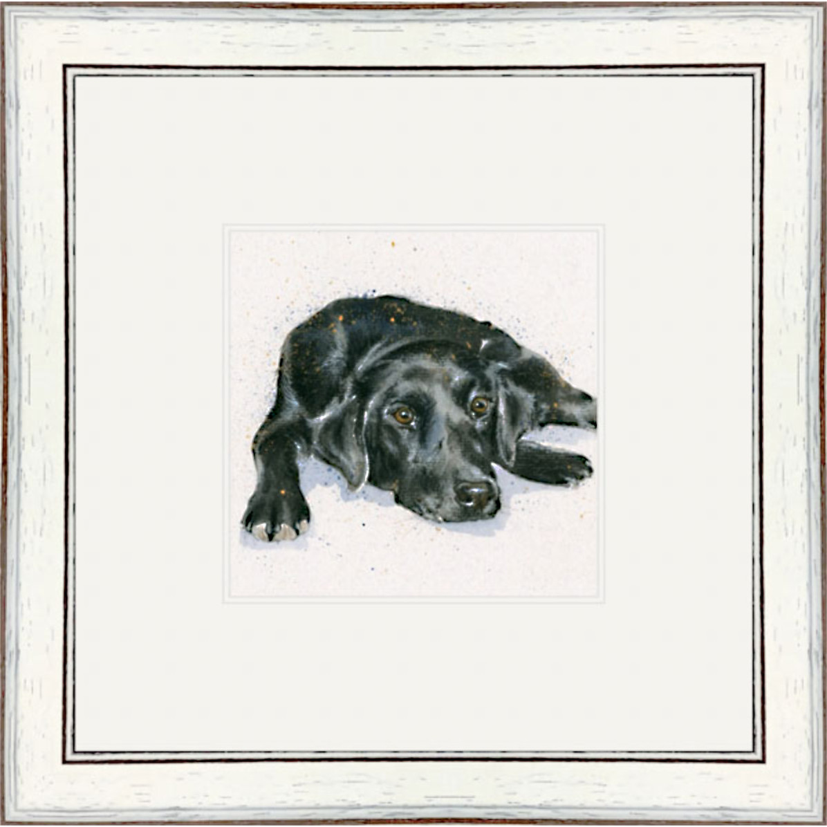 Jet (Black Lab)