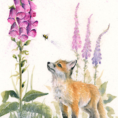 Kid Gloves - Fox Cub
