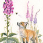 Kid Gloves - Fox Cub