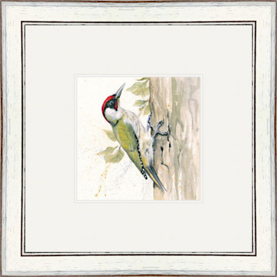 Knock Knock (Green Woodpecker)