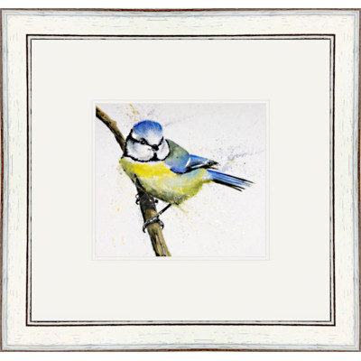 Little Blue (Blue Tit)