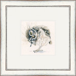 Little Scratch (Owl)
