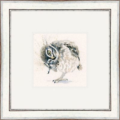 Little Scratch (Owl)