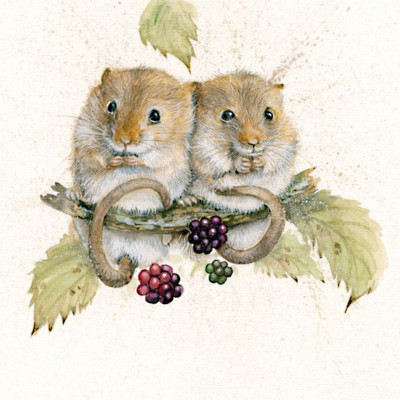 Berry Merry (Dormice)