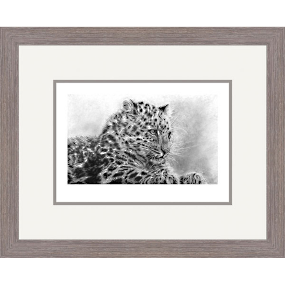 Mist of Amur (Amur Leopard)