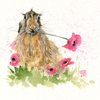 A Moment On The Lips (Hare)