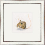 Nibbles (Mouse)