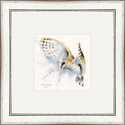 Night Owl (Barn Owl)