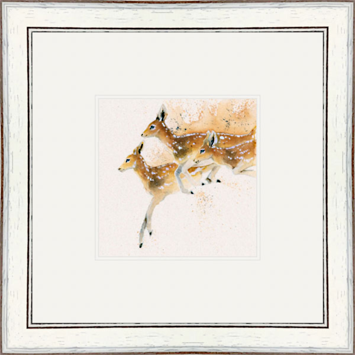 Oh Deer (Roe Deer)