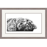 Peaceful (Siberian Tiger)