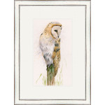 Post Office (Owl)