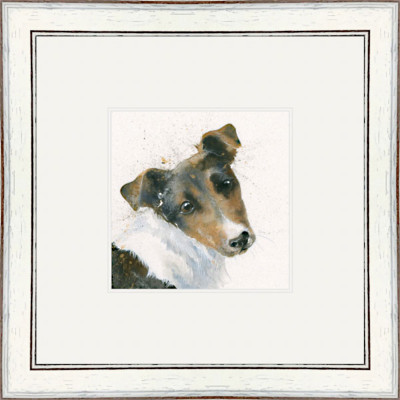 Russell (Jack Russell)