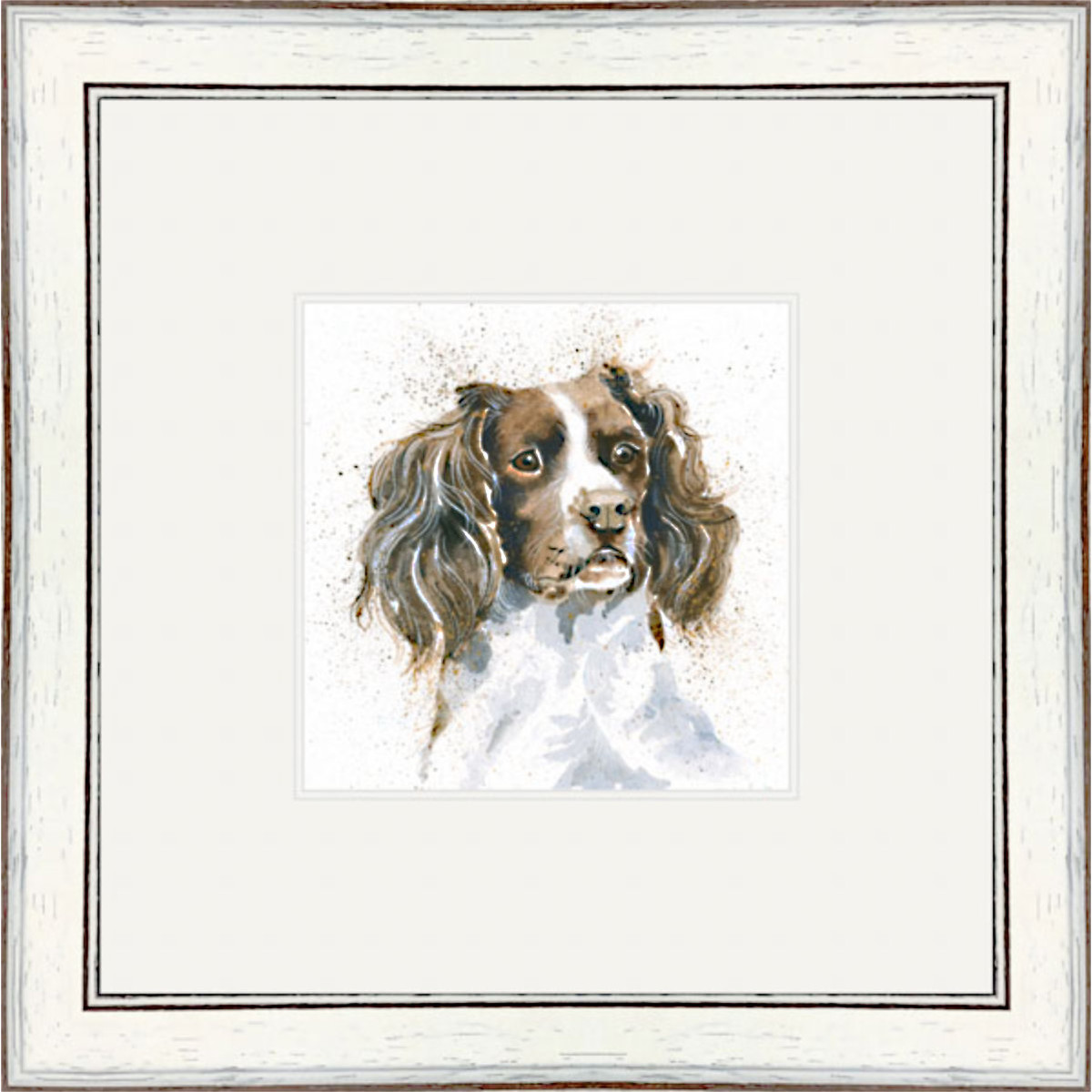 Sam (Springer)