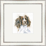 Sam (Springer)