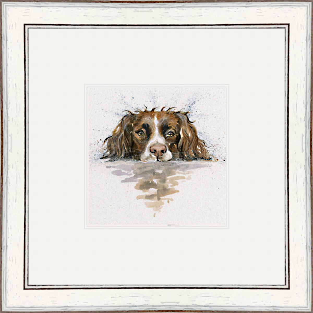 Scooby (Springer)