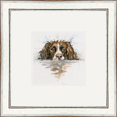 Scooby (Springer)