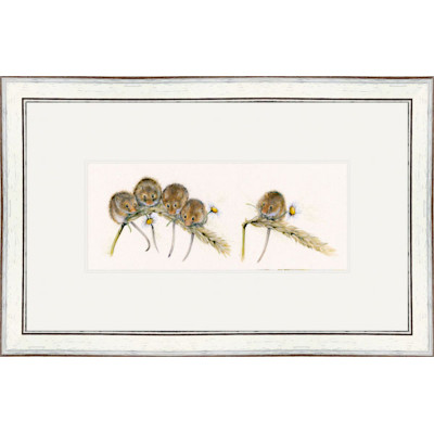 Social Distancing (Dormice)